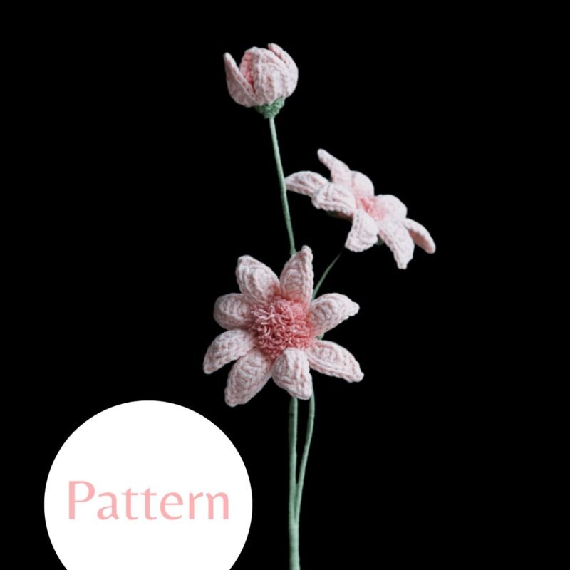 Field Daisy #36